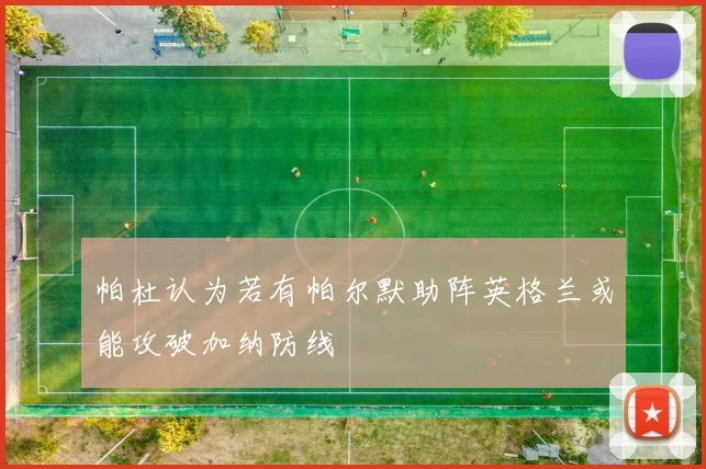 帕杜认为若有帕尔默助阵英格兰或能攻破加纳防线